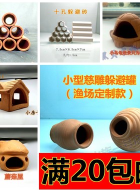 小型慈鲷鱼红陶红肚酋长