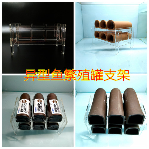 异形鱼亚克力繁殖罐支架日本首藤罐支架蓝眼胡子大帆雪球333异型