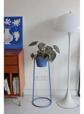 嘻物所普鲁士蓝色花架室内极简约可移动设计阳台花盆客厅现代铁艺