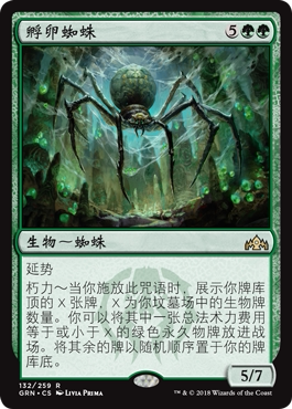牌客窝 万智牌  孵卵蜘蛛 Hatchery Spider  金 绿 闪