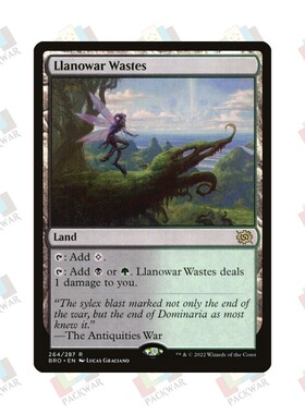 牌客窝 万智牌  罗堰荒野  Llanowar Wastes  金 地 闪