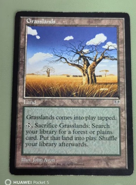 牌客窝 万智牌  牧草原野  Grasslands  铁 地