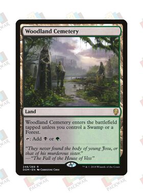 牌客窝 万智牌  林地墓园  Woodland Cemetery  金 地 闪