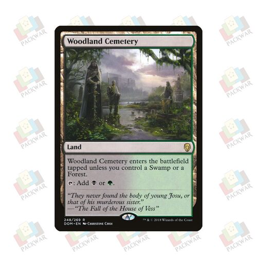 牌客窝 万智牌 林地墓园 Woodland Cemetery  金 地 闪