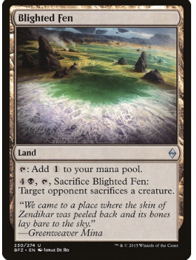 牌客窝 万智牌  枯萎泽地 Blighted Fen 银 地 简中 BFZ