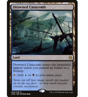 牌客窝 万智牌 水没墓穴 Drowned Catacomb 金 地 闪