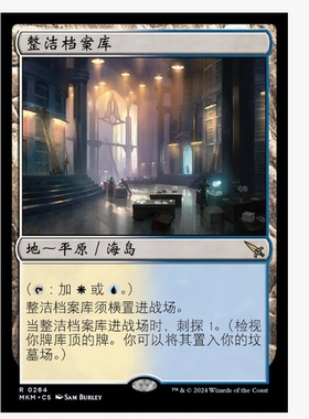 牌客窝 万智牌 整洁档案库 Meticulous Archive 金 地 闪