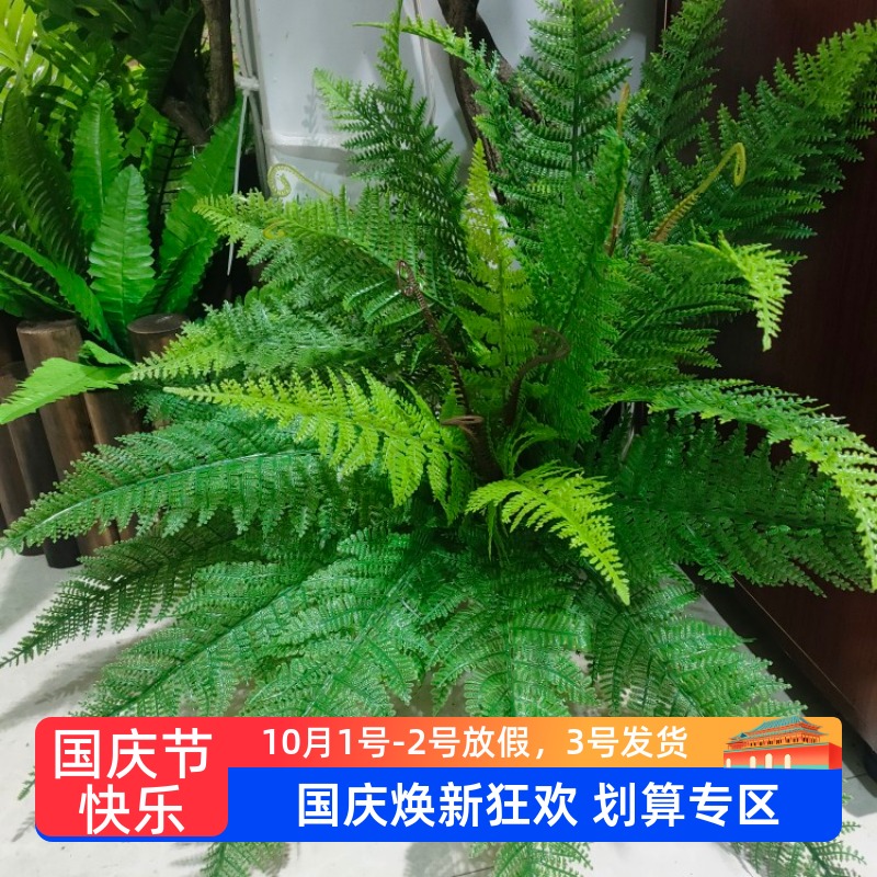 仿真绿植蕨类植物背景墙面橱窗婚庆装饰创意盆栽手感波斯草大蕨叶