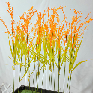 仿真稻子假水稻麦穗大麦稻谷舞蹈道具塑料假花草五谷农作物装饰品