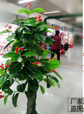 仿真绿植物发财树盆栽塑料假花客厅落地摆放装饰花艺假树盆景摆件