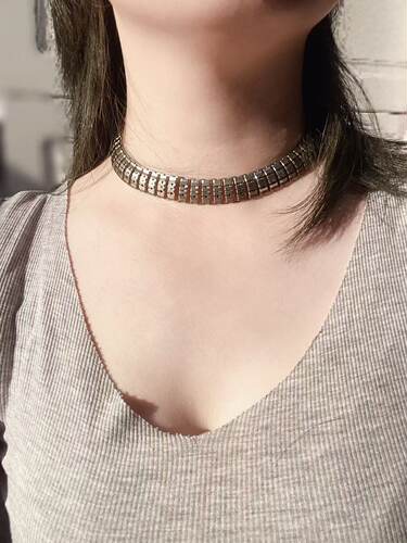 【BW中古】Coro打标蛇骨链，Chocker
