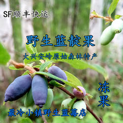 野生蓝靛果新鲜冻果大兴安岭山茄子羊奶子果融化果酱非种植蓝莓