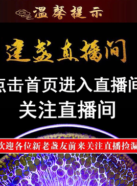千盏堂 直播建阳建盏通天龙窑柴烧油滴兔毫建盏杯主人杯直播链接