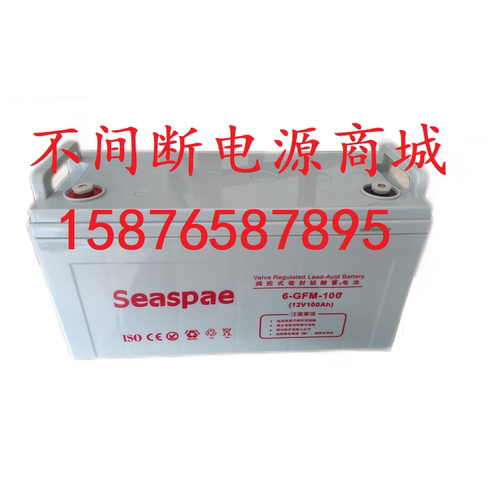 UPS电池 12v100ah电瓶 12V100AH免维护蓄电池 Seaspae不间断电池