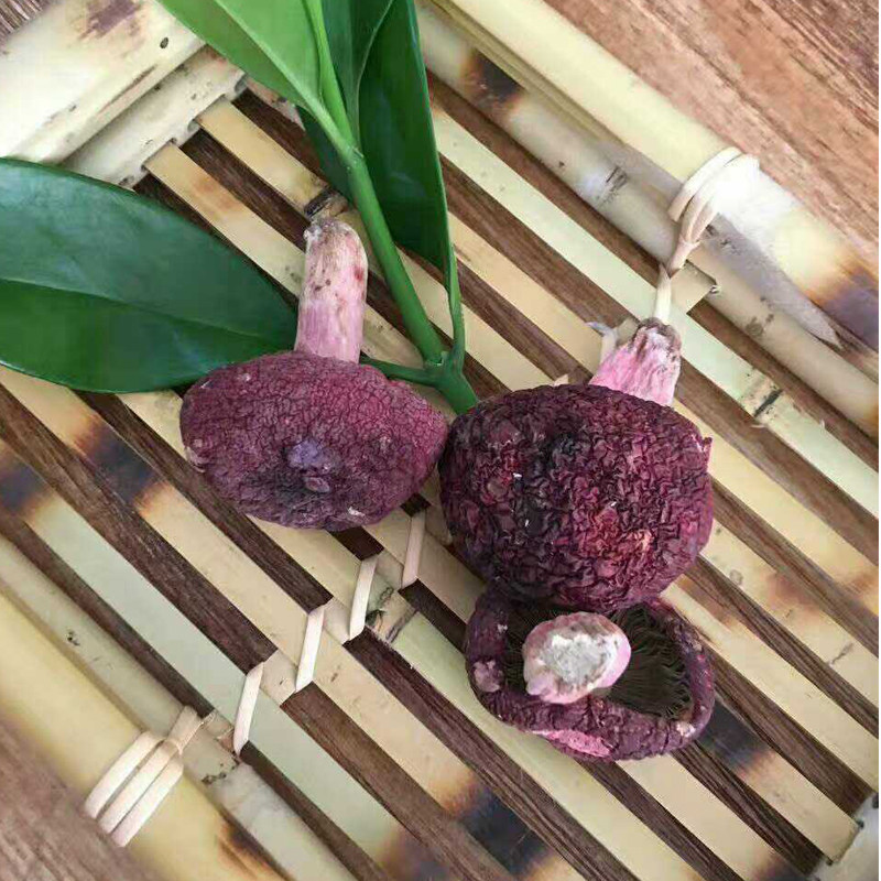 红菇娘纯天然野生红蘑菇月子菇福建三明宁化特产干货新货200g包邮