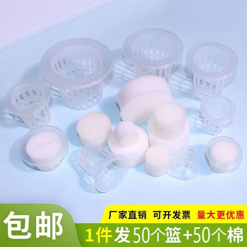 50个定植篮和50个海绵