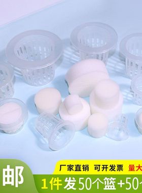 热销植物水培定植篮圆形水培杯无土栽培设备塑料加深种植篮和棉