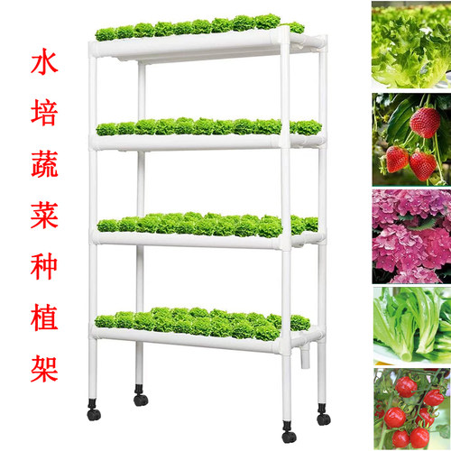 水培种植架好多菜工厂直销