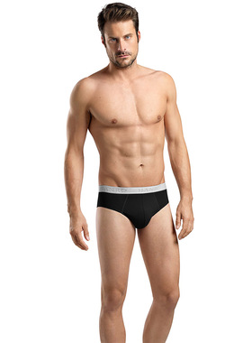 官价7折 瑞士奢牌 Hanro Essential 基础款男士三角裤2条装 73075