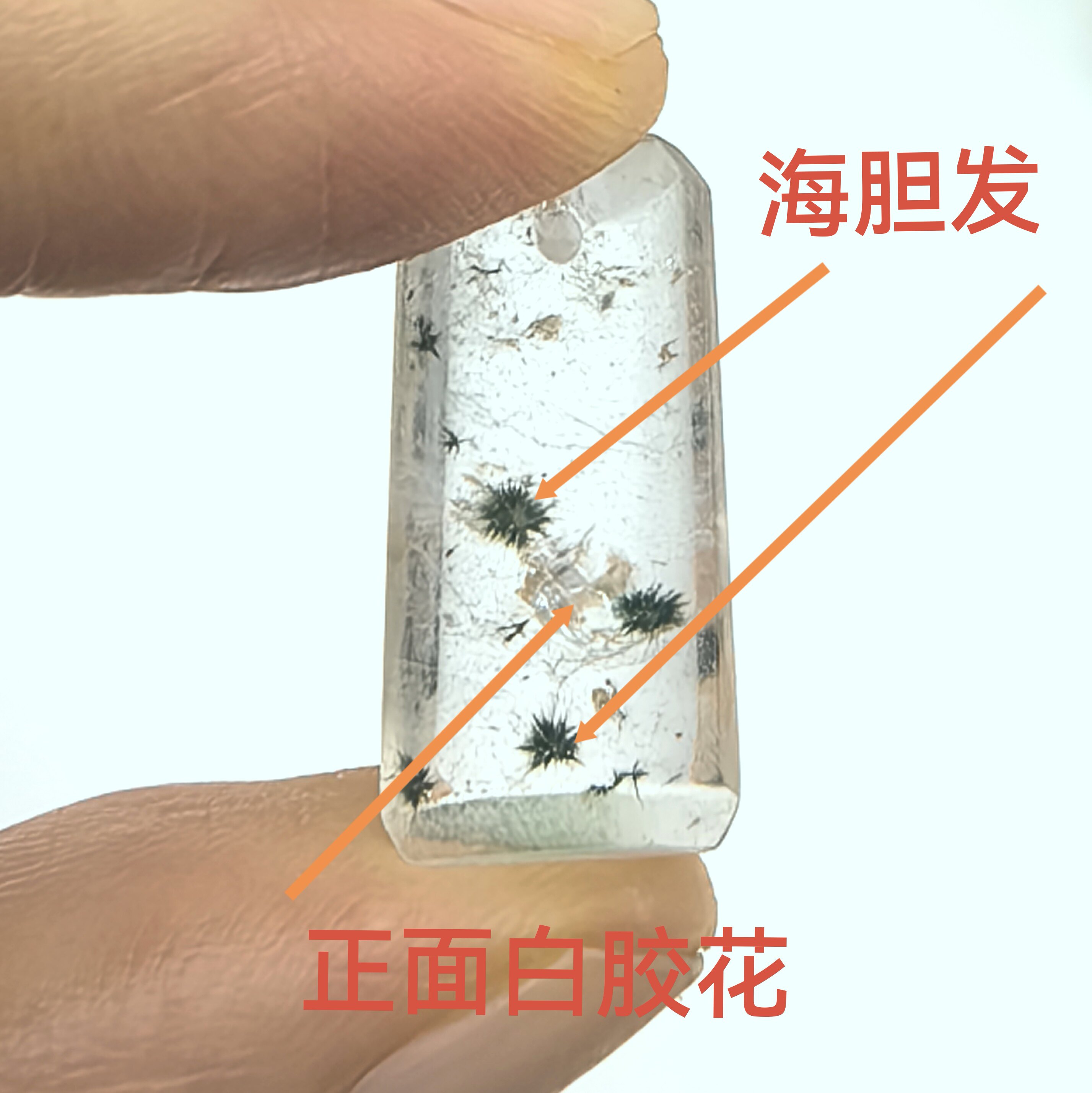 踏雪寻梅店藏20年天然海胆发雪颈饰