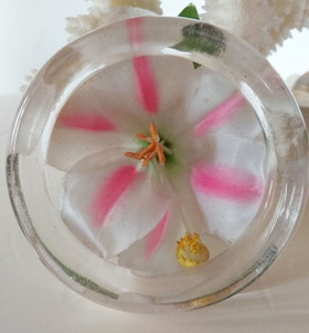 特价正品清仓~东海精品纯天然白水晶女款手镯礼物内径59mmA21-12