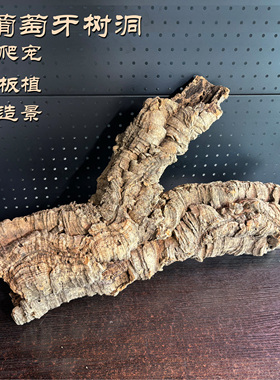 葡萄牙软木树皮树洞树桶爬虫躲避雨淋缸造景蝴蝶兰鹿角蕨板植