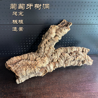 葡萄牙软木树皮树洞树桶爬虫躲避雨淋缸造景蝴蝶兰鹿角蕨板植