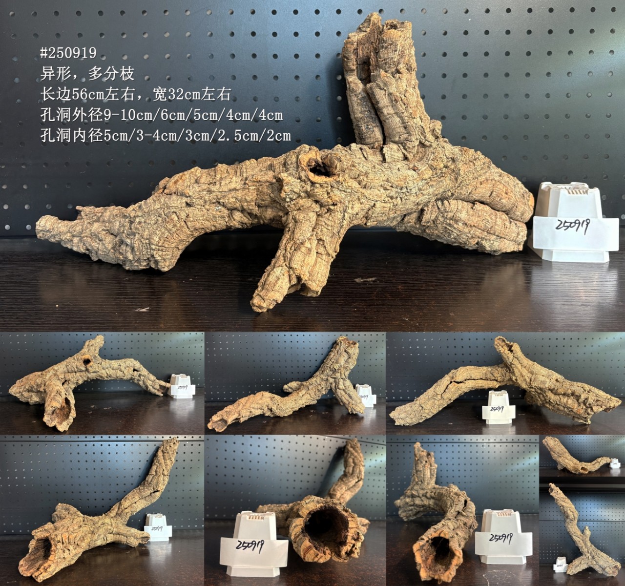 造景爬宠进口葡萄牙树洞