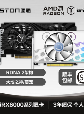 AMD盈通 RX6500XT 4G 大地之神 萌宠 极速版台式机游戏独立显卡