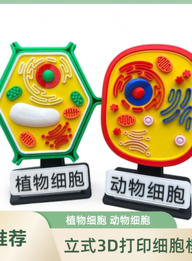 3D打印亚显微结构生物教具定制