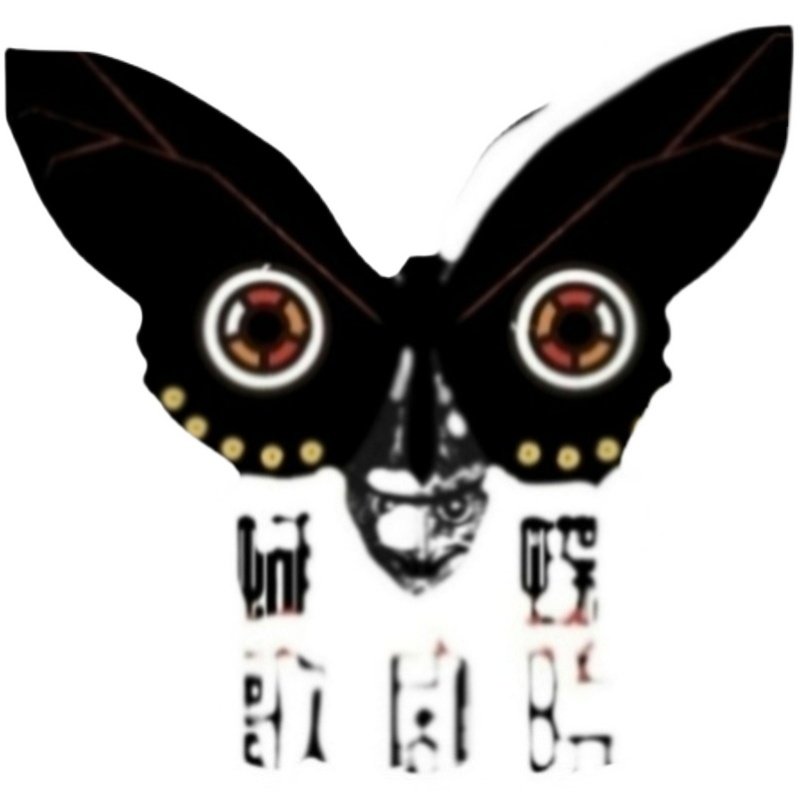 翠凤蝶Papilio Lorquinianus未展翅标本原蝶 三角包发出