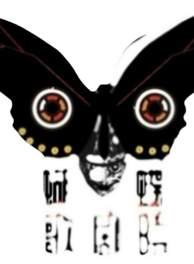 翠凤蝶Papilio Lorquinianus未展翅标本原蝶 三角包发出