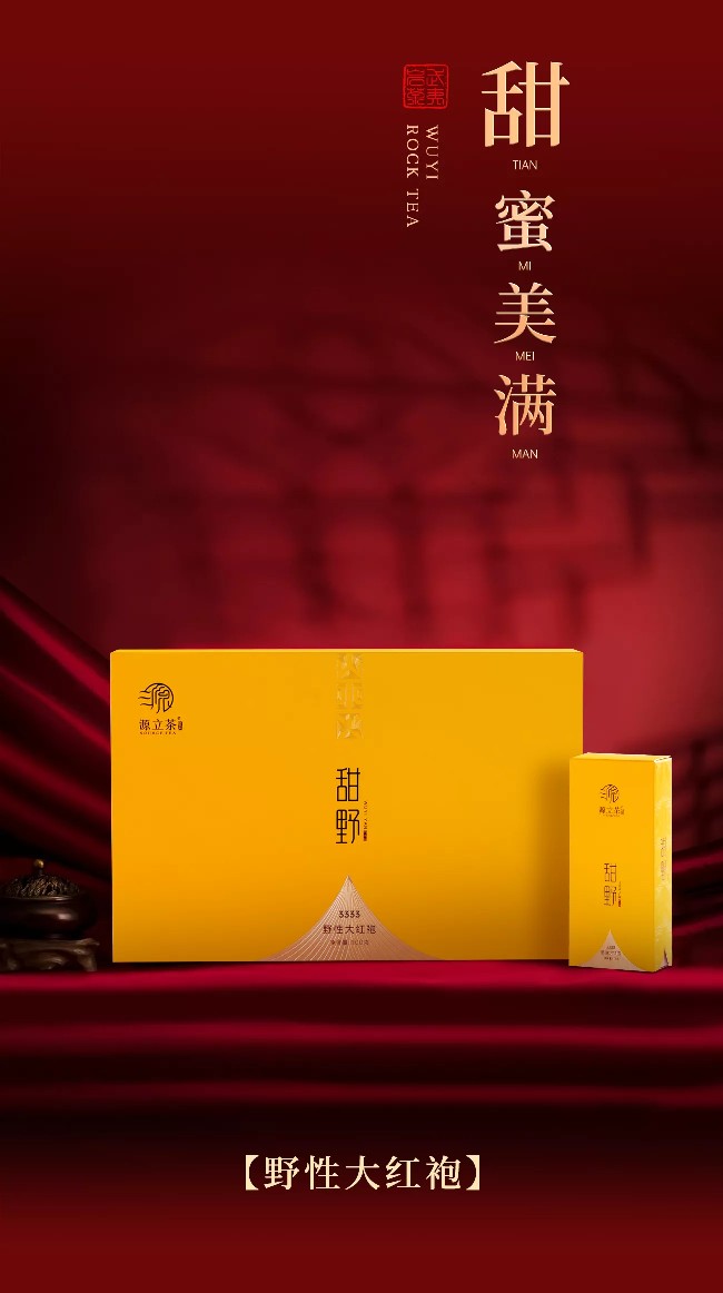 源立茶之兩個茶匠武夷巖茶正巖甜野中火特級大紅袍100g禮盒裝送禮