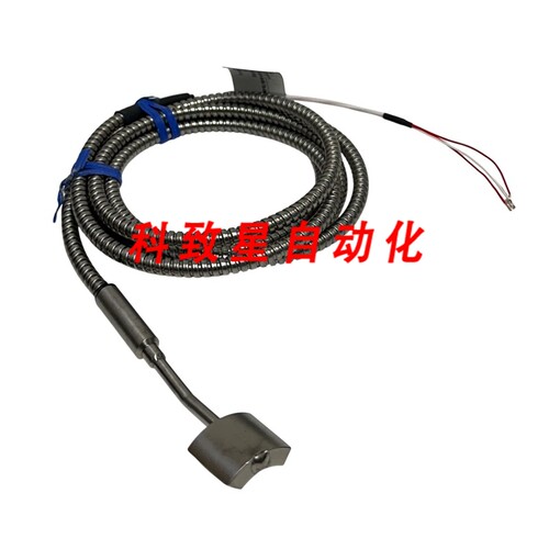 工业配件INTEMPCO R340-LP-1-S3-00-SB-50-TA-06-N/R340 贴装 RTD