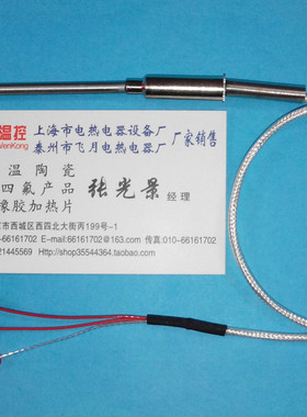 高精度测温探头PT100铂电阻PT1000温度传感器WZP