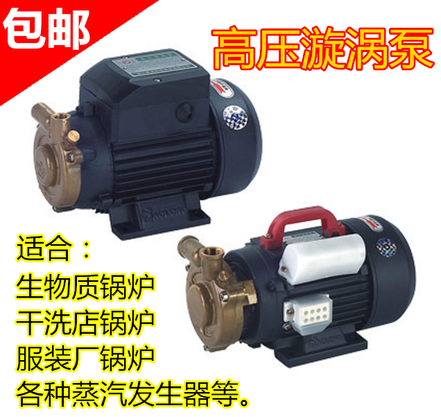 奥龙高压生物质锅炉电机旋涡泵