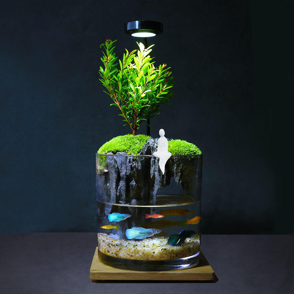 小叶赤楠生态微景观鱼缸 绿植盆栽苔藓山水缸 办公室客厅茶台摆件