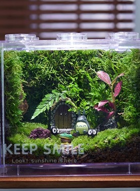 办公室桌面搭子学生党Ins风伴手礼绿植苔藓好养懒人生态瓶礼物