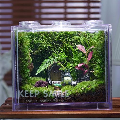 办公室桌面搭子学生党苔藓微景观