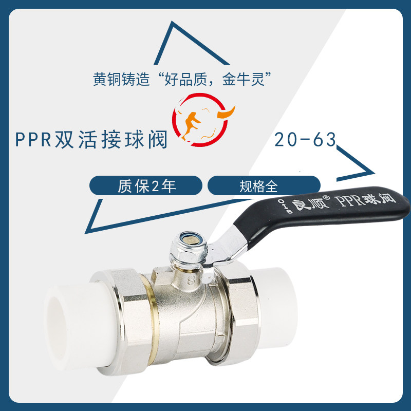 全铜ppr水管配件开关接头热熔4分20 6分25 1寸32双活接球阀门管件