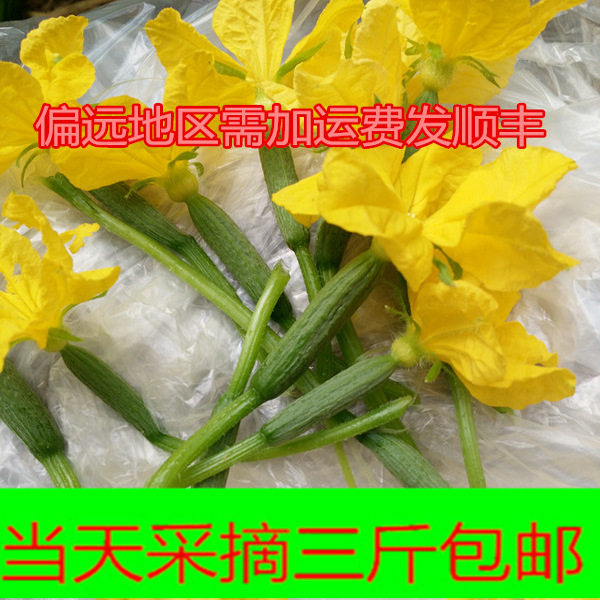 新鲜小黄瓜花青瓜花特菜水果黄瓜苗顶花酒店炒食小乳瓜餐厅农家