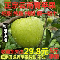 现摘云南昭通正宗小青香蕉青苹果水果5斤新鲜装当季整箱包邮脆甜