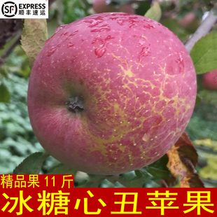 云南昭通冰糖心丑苹果水果甜脆纯天然太阳晒斑现摘 发11斤装