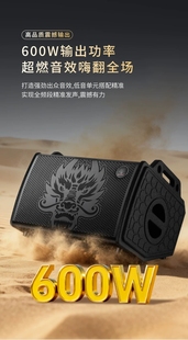 SYOK神龙黑龙K10音响600瓦吉他音箱K歌演出蓝牙专业户外路演音箱