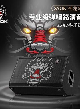 神龙S210 PRO音响s210pro专业户外唱歌音箱直播内录演出路演