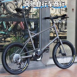 SILVEROCK 平把 10速 自行车 20寸 油碟 小轮瓜车 por DEWY 单盘