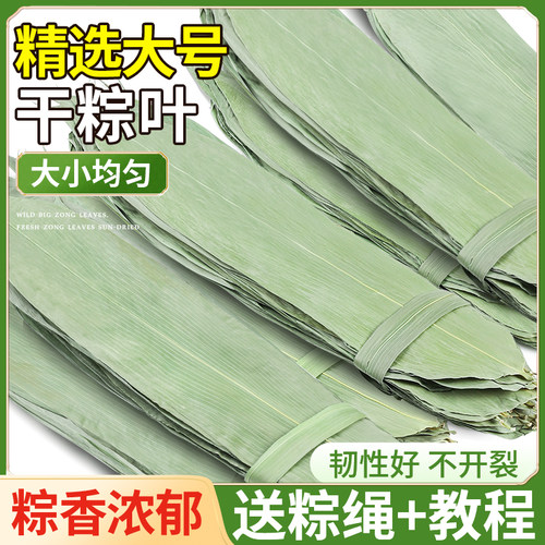 粽叶包粽子专用干大号新鲜端午