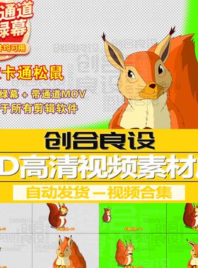 2D少儿动漫MG动画元素卡通动物松鼠PR带通道视频剪辑剪影绿幕素材