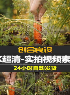 4K超清植物园绿色农作物农民拔萝卜胡萝卜慢动作PR剪辑视频素材