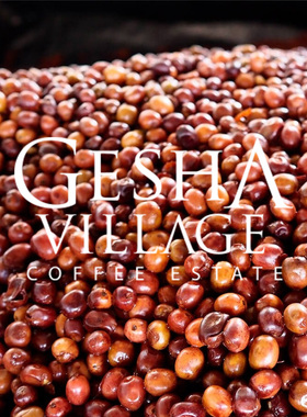 FISHER啡舍 埃塞俄比亚瑰夏村绿标日晒Lot 010 手冲咖啡豆 227g